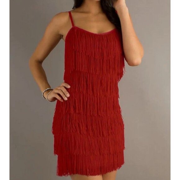 Chic Scarlet Fringe Mini Dress - Picture 1 of 9